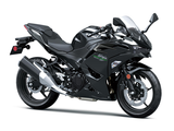 2024 Kawasaki EX500 Ninja