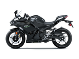2024 Kawasaki EX500 Ninja
