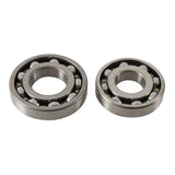 Main Bearing and Seal Kit