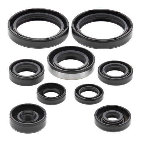 Oil Seal Kit 822316