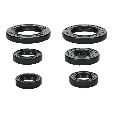 Oil Seal Kit 822391