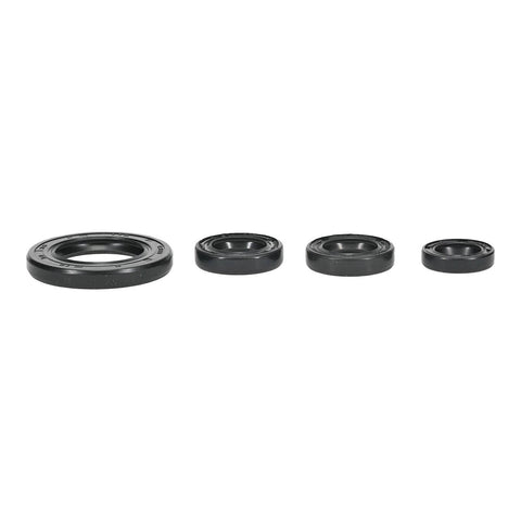 Oil Seal Kit 822395