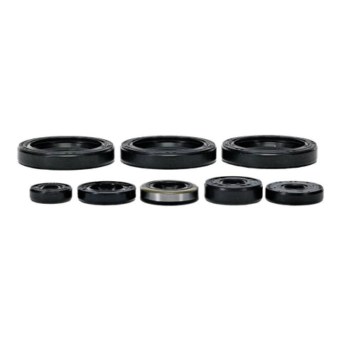 Oil Seal Kit 822403