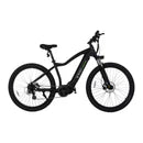 Vici Jupiter Electric Bicycle 29x2.35" Clearance