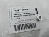 Magnet